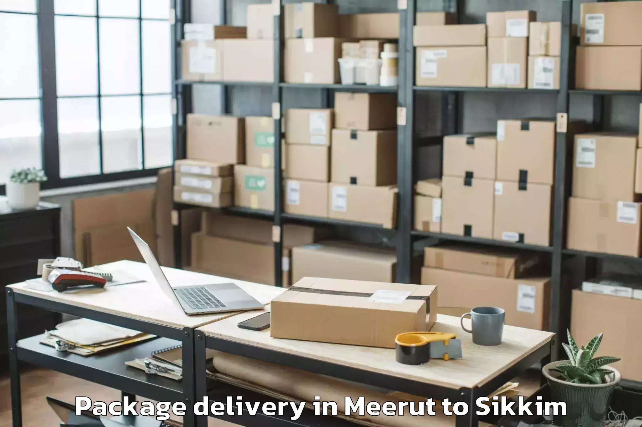 Expert Meerut to Ravong Package Delivery